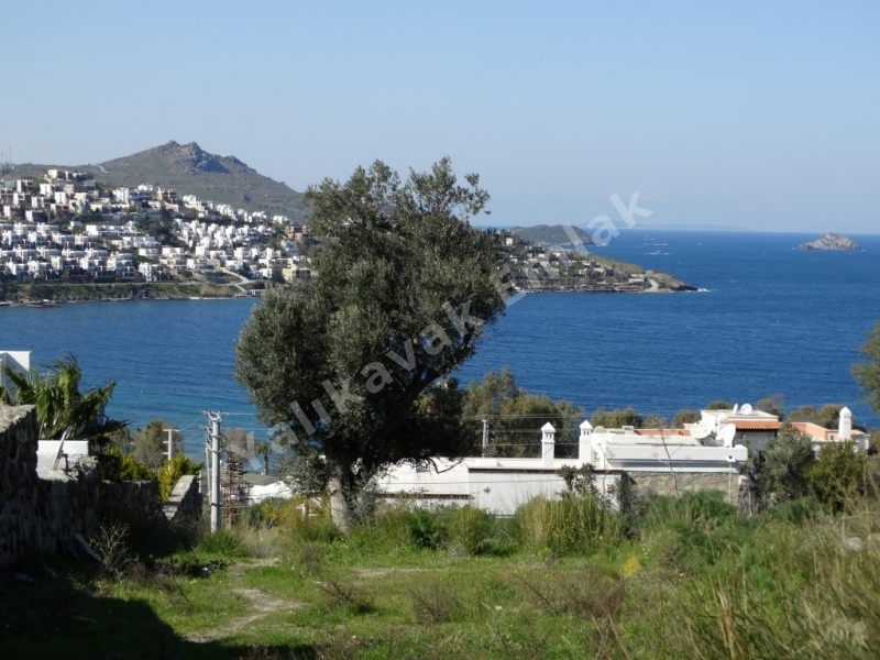 YALIKAVAK TİLKİCİK KOYUNDA SATILIK İMARLI ARSA.