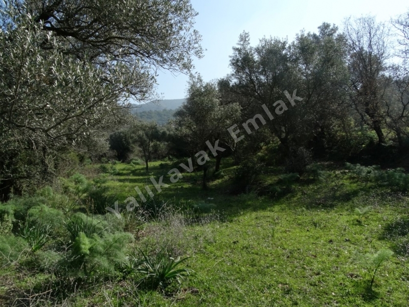 YALIKAVAK DENİZ  MANZARALI SATILIK ARAZİ