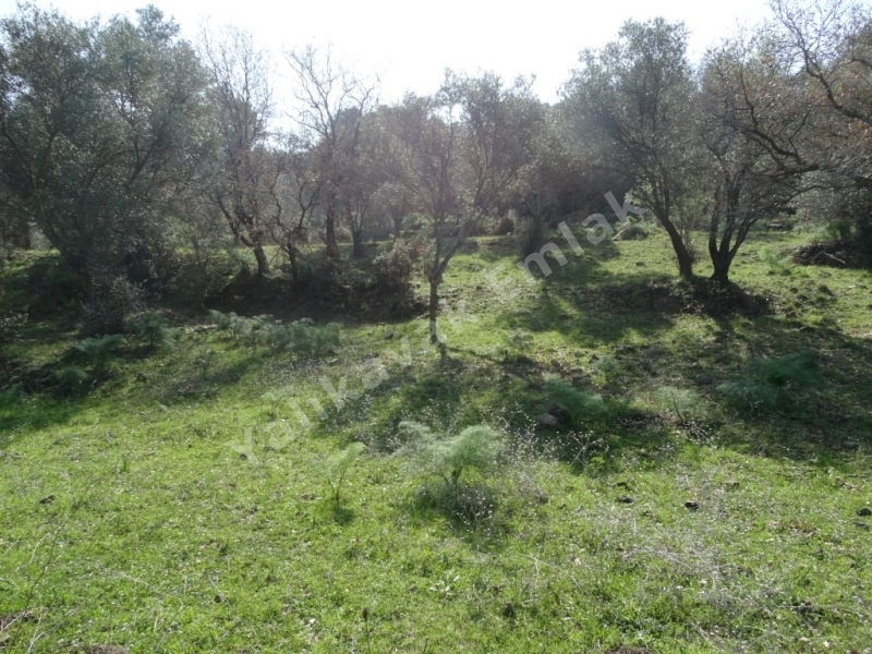 YALIKAVAK DENİZ  MANZARALI SATILIK ARAZİ