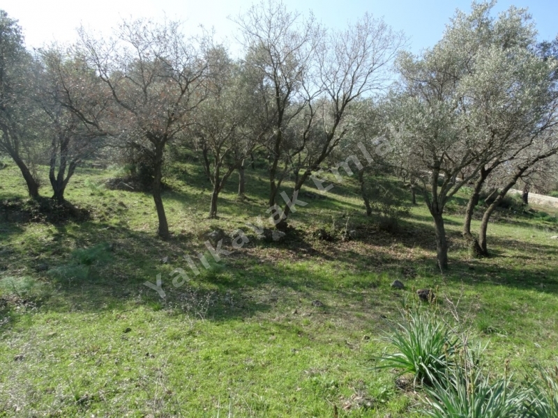 YALIKAVAK DENİZ  MANZARALI SATILIK ARAZİ