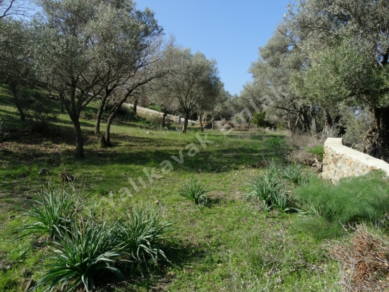 YALIKAVAK DENİZ  MANZARALI SATILIK ARAZİ