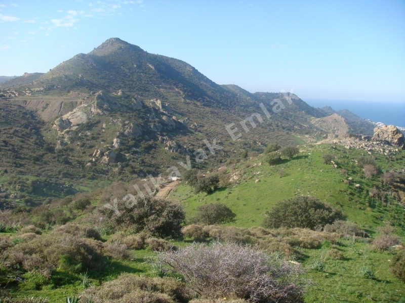 YALIKAVAK KOZALI DA YATIRIMLIK BÜYÜK ARAZİ